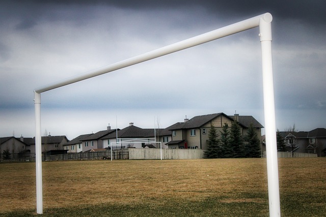 投身冰雪运 投身冰雪运