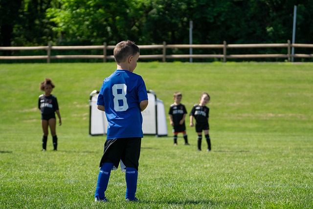 机会共存 机会共存